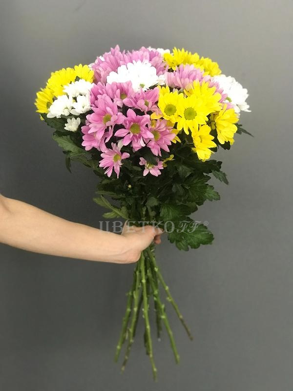 Хризантема мелкая - Цветочный салон ЦветкоFF Тюмень