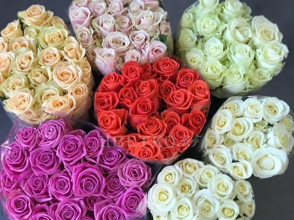 Роза Россия 70 см - Цветочный салон ЦветкоFF Тюмень